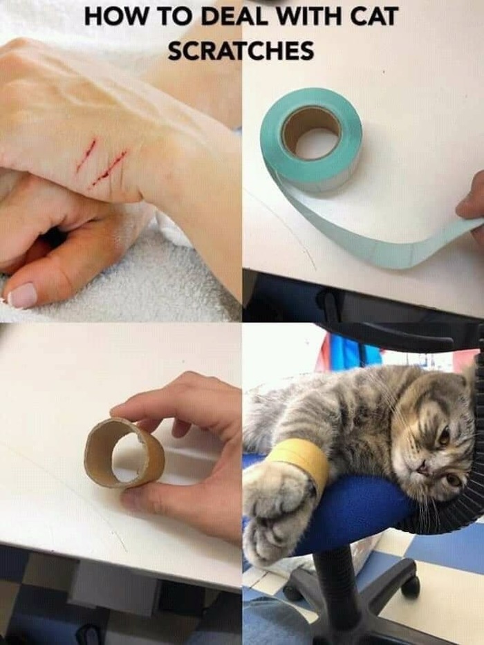      , 
