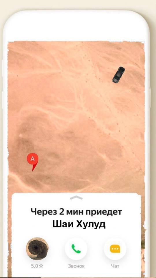 Have you watched Dune yet? - Yandex., Yandex Taxi, Dune, Humor, Screenshot