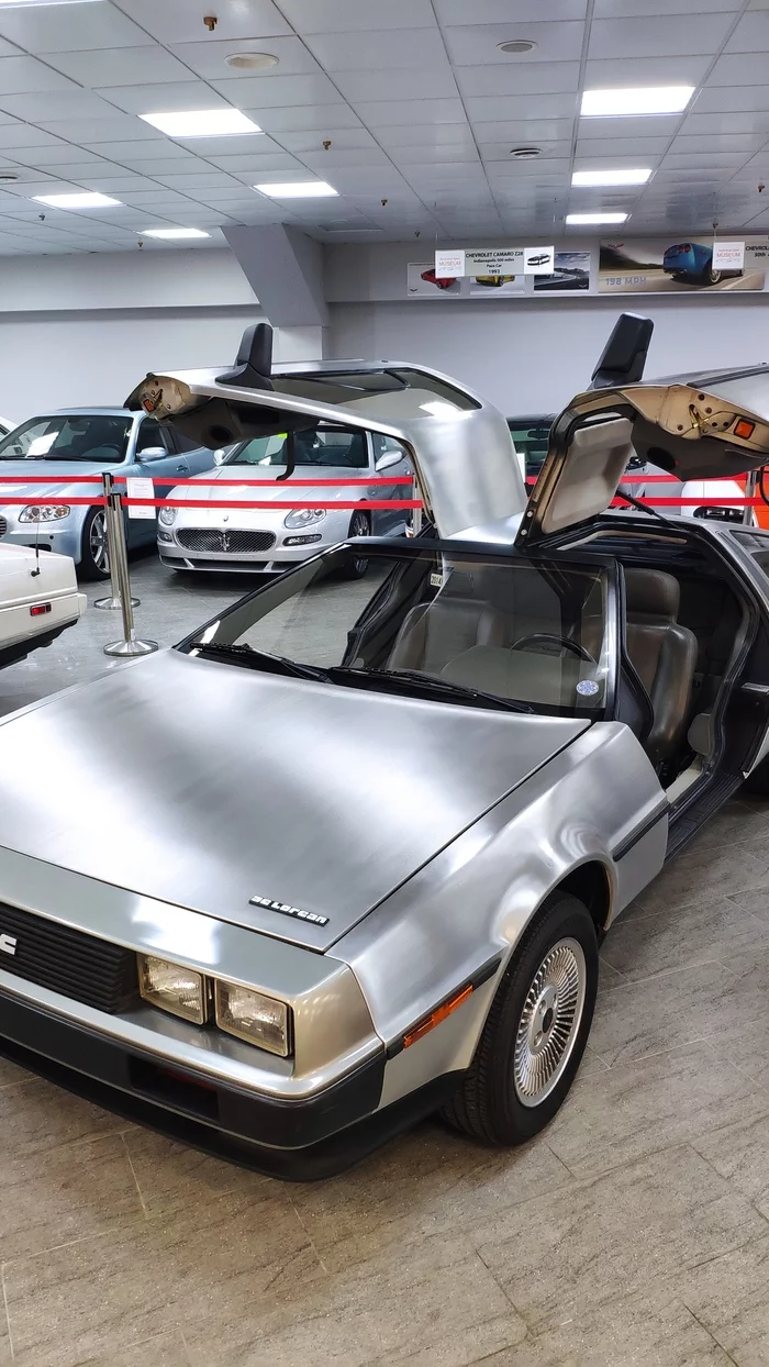 Where we're going, we won't need roads - My, Delorean, Back to the future (film), Backtothefuture, Longpost, Museum, Sochi