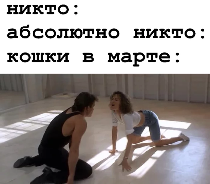 And not only in March - My, Memes, Movies, Dirty dancing, Humor, Picture with text, Patrick Swayze, Dancing