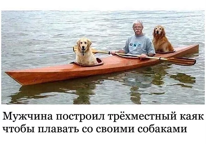 Two in the same boat, not counting the man - A boat, Dog, Kayak, River, The photo, Memes, Travels