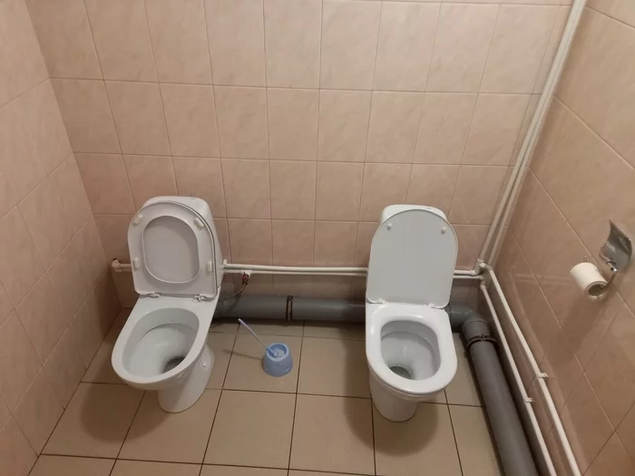 When you have a really strong relationship - My, Humor, Toilet, Mobile photography, friendship, Relationship, Love, Best friend, Help, , Reliability