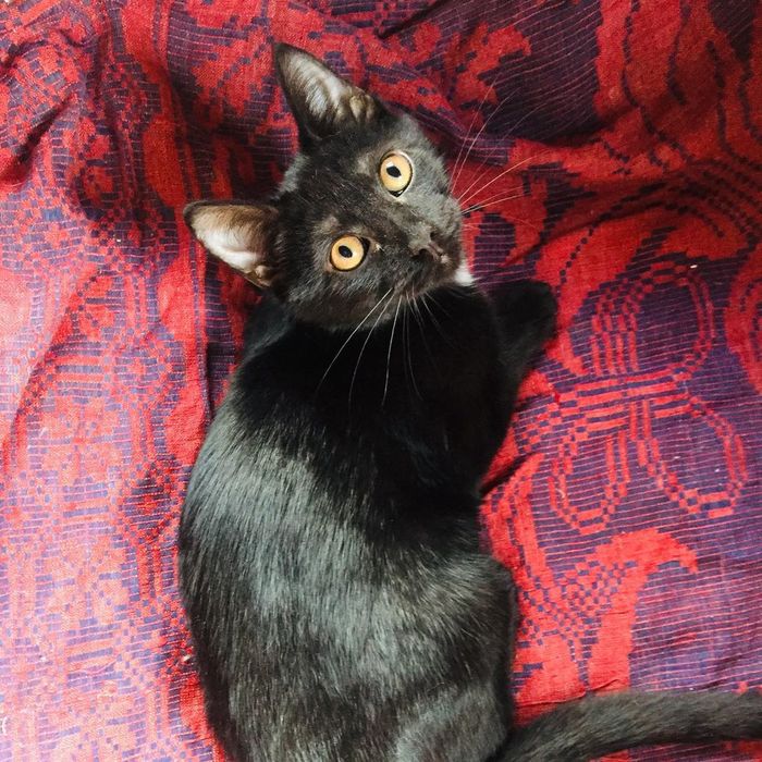 ΠΊΠ°ΠΊΠ°Ρ ΡΠ°Π·Π½ΠΈΡΠ° ΠΌΠ΅ΠΆΠ΄Ρ Π±ΠΎΡΠ΄ΡΡΠΎΠΌ ΠΈ ΠΏΠΎΡΠ΅Π±ΡΠΈΠΊΠΎΠΌ. Π‘ΠΌΠΎΡΡΠ΅ΡΡ ΡΠΎΡΠΎ ΠΊΠ°ΠΊΠ°Ρ ΡΠ°Π·Π½ΠΈΡΠ° ΠΌΠ΅ΠΆΠ΄Ρ Π±ΠΎΡΠ΄ΡΡΠΎΠΌ ΠΈ ΠΏΠΎΡΠ΅Π±ΡΠΈΠΊΠΎΠΌ. Π‘ΠΌΠΎΡΡΠ΅ΡΡ ΠΊΠ°ΡΡΠΈΠ½ΠΊΡ ΠΊΠ°ΠΊΠ°Ρ ΡΠ°Π·Π½ΠΈΡΠ° ΠΌΠ΅ΠΆΠ΄Ρ Π±ΠΎΡΠ΄ΡΡΠΎΠΌ ΠΈ ΠΏΠΎΡΠ΅Π±ΡΠΈΠΊΠΎΠΌ. ΠΠ°ΡΡΠΈΠ½ΠΊΠ° ΠΏΡΠΎ ΠΊΠ°ΠΊΠ°Ρ ΡΠ°Π·Π½ΠΈΡΠ° ΠΌΠ΅ΠΆΠ΄Ρ Π±ΠΎΡΠ΄ΡΡΠΎΠΌ ΠΈ ΠΏΠΎΡΠ΅Π±ΡΠΈΠΊΠΎΠΌ. Π€ΠΎΡΠΎ ΠΊΠ°ΠΊΠ°Ρ ΡΠ°Π·Π½ΠΈΡΠ° ΠΌΠ΅ΠΆΠ΄Ρ Π±ΠΎΡΠ΄ΡΡΠΎΠΌ ΠΈ ΠΏΠΎΡΠ΅Π±ΡΠΈΠΊΠΎΠΌ ΠΊΠ°ΠΊΠ°Ρ ΡΠ°Π·Π½ΠΈΡΠ° ΠΌΠ΅ΠΆΠ΄Ρ Π±ΠΎΡΠ΄ΡΡΠΎΠΌ ΠΈ ΠΏΠΎΡΠ΅Π±ΡΠΈΠΊΠΎΠΌ. Π‘ΠΌΠΎΡΡΠ΅ΡΡ ΡΠΎΡΠΎ ΠΊΠ°ΠΊΠ°Ρ ΡΠ°Π·Π½ΠΈΡΠ° ΠΌΠ΅ΠΆΠ΄Ρ Π±ΠΎΡΠ΄ΡΡΠΎΠΌ ΠΈ ΠΏΠΎΡΠ΅Π±ΡΠΈΠΊΠΎΠΌ. Π‘ΠΌΠΎΡΡΠ΅ΡΡ ΠΊΠ°ΡΡΠΈΠ½ΠΊΡ ΠΊΠ°ΠΊΠ°Ρ ΡΠ°Π·Π½ΠΈΡΠ° ΠΌΠ΅ΠΆΠ΄Ρ Π±ΠΎΡΠ΄ΡΡΠΎΠΌ ΠΈ ΠΏΠΎΡΠ΅Π±ΡΠΈΠΊΠΎΠΌ. ΠΠ°ΡΡΠΈΠ½ΠΊΠ° ΠΏΡΠΎ ΠΊΠ°ΠΊΠ°Ρ ΡΠ°Π·Π½ΠΈΡΠ° ΠΌΠ΅ΠΆΠ΄Ρ Π±ΠΎΡΠ΄ΡΡΠΎΠΌ ΠΈ ΠΏΠΎΡΠ΅Π±ΡΠΈΠΊΠΎΠΌ. Π€ΠΎΡΠΎ ΠΊΠ°ΠΊΠ°Ρ ΡΠ°Π·Π½ΠΈΡΠ° ΠΌΠ΅ΠΆΠ΄Ρ Π±ΠΎΡΠ΄ΡΡΠΎΠΌ ΠΈ ΠΏΠΎΡΠ΅Π±ΡΠΈΠΊΠΎΠΌ