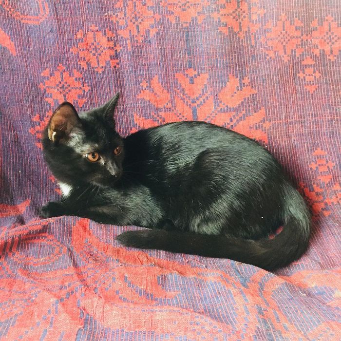 ΠΊΠ°ΠΊΠ°Ρ ΡΠ°Π·Π½ΠΈΡΠ° ΠΌΠ΅ΠΆΠ΄Ρ Π±ΠΎΡΠ΄ΡΡΠΎΠΌ ΠΈ ΠΏΠΎΡΠ΅Π±ΡΠΈΠΊΠΎΠΌ. Π‘ΠΌΠΎΡΡΠ΅ΡΡ ΡΠΎΡΠΎ ΠΊΠ°ΠΊΠ°Ρ ΡΠ°Π·Π½ΠΈΡΠ° ΠΌΠ΅ΠΆΠ΄Ρ Π±ΠΎΡΠ΄ΡΡΠΎΠΌ ΠΈ ΠΏΠΎΡΠ΅Π±ΡΠΈΠΊΠΎΠΌ. Π‘ΠΌΠΎΡΡΠ΅ΡΡ ΠΊΠ°ΡΡΠΈΠ½ΠΊΡ ΠΊΠ°ΠΊΠ°Ρ ΡΠ°Π·Π½ΠΈΡΠ° ΠΌΠ΅ΠΆΠ΄Ρ Π±ΠΎΡΠ΄ΡΡΠΎΠΌ ΠΈ ΠΏΠΎΡΠ΅Π±ΡΠΈΠΊΠΎΠΌ. ΠΠ°ΡΡΠΈΠ½ΠΊΠ° ΠΏΡΠΎ ΠΊΠ°ΠΊΠ°Ρ ΡΠ°Π·Π½ΠΈΡΠ° ΠΌΠ΅ΠΆΠ΄Ρ Π±ΠΎΡΠ΄ΡΡΠΎΠΌ ΠΈ ΠΏΠΎΡΠ΅Π±ΡΠΈΠΊΠΎΠΌ. Π€ΠΎΡΠΎ ΠΊΠ°ΠΊΠ°Ρ ΡΠ°Π·Π½ΠΈΡΠ° ΠΌΠ΅ΠΆΠ΄Ρ Π±ΠΎΡΠ΄ΡΡΠΎΠΌ ΠΈ ΠΏΠΎΡΠ΅Π±ΡΠΈΠΊΠΎΠΌ ΠΊΠ°ΠΊΠ°Ρ ΡΠ°Π·Π½ΠΈΡΠ° ΠΌΠ΅ΠΆΠ΄Ρ Π±ΠΎΡΠ΄ΡΡΠΎΠΌ ΠΈ ΠΏΠΎΡΠ΅Π±ΡΠΈΠΊΠΎΠΌ. Π‘ΠΌΠΎΡΡΠ΅ΡΡ ΡΠΎΡΠΎ ΠΊΠ°ΠΊΠ°Ρ ΡΠ°Π·Π½ΠΈΡΠ° ΠΌΠ΅ΠΆΠ΄Ρ Π±ΠΎΡΠ΄ΡΡΠΎΠΌ ΠΈ ΠΏΠΎΡΠ΅Π±ΡΠΈΠΊΠΎΠΌ. Π‘ΠΌΠΎΡΡΠ΅ΡΡ ΠΊΠ°ΡΡΠΈΠ½ΠΊΡ ΠΊΠ°ΠΊΠ°Ρ ΡΠ°Π·Π½ΠΈΡΠ° ΠΌΠ΅ΠΆΠ΄Ρ Π±ΠΎΡΠ΄ΡΡΠΎΠΌ ΠΈ ΠΏΠΎΡΠ΅Π±ΡΠΈΠΊΠΎΠΌ. ΠΠ°ΡΡΠΈΠ½ΠΊΠ° ΠΏΡΠΎ ΠΊΠ°ΠΊΠ°Ρ ΡΠ°Π·Π½ΠΈΡΠ° ΠΌΠ΅ΠΆΠ΄Ρ Π±ΠΎΡΠ΄ΡΡΠΎΠΌ ΠΈ ΠΏΠΎΡΠ΅Π±ΡΠΈΠΊΠΎΠΌ. Π€ΠΎΡΠΎ ΠΊΠ°ΠΊΠ°Ρ ΡΠ°Π·Π½ΠΈΡΠ° ΠΌΠ΅ΠΆΠ΄Ρ Π±ΠΎΡΠ΄ΡΡΠΎΠΌ ΠΈ ΠΏΠΎΡΠ΅Π±ΡΠΈΠΊΠΎΠΌ