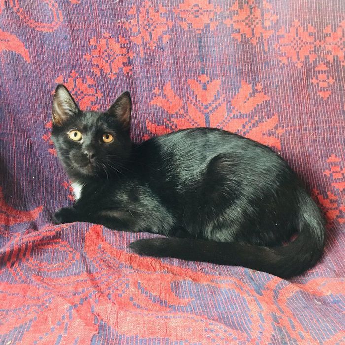 ΠΊΠ°ΠΊΠ°Ρ ΡΠ°Π·Π½ΠΈΡΠ° ΠΌΠ΅ΠΆΠ΄Ρ Π±ΠΎΡΠ΄ΡΡΠΎΠΌ ΠΈ ΠΏΠΎΡΠ΅Π±ΡΠΈΠΊΠΎΠΌ. Π‘ΠΌΠΎΡΡΠ΅ΡΡ ΡΠΎΡΠΎ ΠΊΠ°ΠΊΠ°Ρ ΡΠ°Π·Π½ΠΈΡΠ° ΠΌΠ΅ΠΆΠ΄Ρ Π±ΠΎΡΠ΄ΡΡΠΎΠΌ ΠΈ ΠΏΠΎΡΠ΅Π±ΡΠΈΠΊΠΎΠΌ. Π‘ΠΌΠΎΡΡΠ΅ΡΡ ΠΊΠ°ΡΡΠΈΠ½ΠΊΡ ΠΊΠ°ΠΊΠ°Ρ ΡΠ°Π·Π½ΠΈΡΠ° ΠΌΠ΅ΠΆΠ΄Ρ Π±ΠΎΡΠ΄ΡΡΠΎΠΌ ΠΈ ΠΏΠΎΡΠ΅Π±ΡΠΈΠΊΠΎΠΌ. ΠΠ°ΡΡΠΈΠ½ΠΊΠ° ΠΏΡΠΎ ΠΊΠ°ΠΊΠ°Ρ ΡΠ°Π·Π½ΠΈΡΠ° ΠΌΠ΅ΠΆΠ΄Ρ Π±ΠΎΡΠ΄ΡΡΠΎΠΌ ΠΈ ΠΏΠΎΡΠ΅Π±ΡΠΈΠΊΠΎΠΌ. Π€ΠΎΡΠΎ ΠΊΠ°ΠΊΠ°Ρ ΡΠ°Π·Π½ΠΈΡΠ° ΠΌΠ΅ΠΆΠ΄Ρ Π±ΠΎΡΠ΄ΡΡΠΎΠΌ ΠΈ ΠΏΠΎΡΠ΅Π±ΡΠΈΠΊΠΎΠΌ ΠΊΠ°ΠΊΠ°Ρ ΡΠ°Π·Π½ΠΈΡΠ° ΠΌΠ΅ΠΆΠ΄Ρ Π±ΠΎΡΠ΄ΡΡΠΎΠΌ ΠΈ ΠΏΠΎΡΠ΅Π±ΡΠΈΠΊΠΎΠΌ. Π‘ΠΌΠΎΡΡΠ΅ΡΡ ΡΠΎΡΠΎ ΠΊΠ°ΠΊΠ°Ρ ΡΠ°Π·Π½ΠΈΡΠ° ΠΌΠ΅ΠΆΠ΄Ρ Π±ΠΎΡΠ΄ΡΡΠΎΠΌ ΠΈ ΠΏΠΎΡΠ΅Π±ΡΠΈΠΊΠΎΠΌ. Π‘ΠΌΠΎΡΡΠ΅ΡΡ ΠΊΠ°ΡΡΠΈΠ½ΠΊΡ ΠΊΠ°ΠΊΠ°Ρ ΡΠ°Π·Π½ΠΈΡΠ° ΠΌΠ΅ΠΆΠ΄Ρ Π±ΠΎΡΠ΄ΡΡΠΎΠΌ ΠΈ ΠΏΠΎΡΠ΅Π±ΡΠΈΠΊΠΎΠΌ. ΠΠ°ΡΡΠΈΠ½ΠΊΠ° ΠΏΡΠΎ ΠΊΠ°ΠΊΠ°Ρ ΡΠ°Π·Π½ΠΈΡΠ° ΠΌΠ΅ΠΆΠ΄Ρ Π±ΠΎΡΠ΄ΡΡΠΎΠΌ ΠΈ ΠΏΠΎΡΠ΅Π±ΡΠΈΠΊΠΎΠΌ. Π€ΠΎΡΠΎ ΠΊΠ°ΠΊΠ°Ρ ΡΠ°Π·Π½ΠΈΡΠ° ΠΌΠ΅ΠΆΠ΄Ρ Π±ΠΎΡΠ΄ΡΡΠΎΠΌ ΠΈ ΠΏΠΎΡΠ΅Π±ΡΠΈΠΊΠΎΠΌ