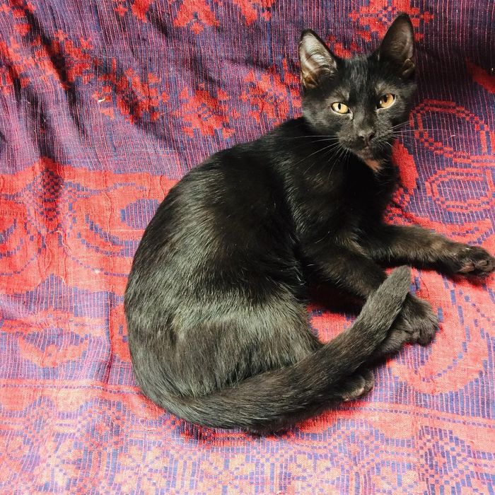 ΠΊΠ°ΠΊΠ°Ρ ΡΠ°Π·Π½ΠΈΡΠ° ΠΌΠ΅ΠΆΠ΄Ρ Π±ΠΎΡΠ΄ΡΡΠΎΠΌ ΠΈ ΠΏΠΎΡΠ΅Π±ΡΠΈΠΊΠΎΠΌ. Π‘ΠΌΠΎΡΡΠ΅ΡΡ ΡΠΎΡΠΎ ΠΊΠ°ΠΊΠ°Ρ ΡΠ°Π·Π½ΠΈΡΠ° ΠΌΠ΅ΠΆΠ΄Ρ Π±ΠΎΡΠ΄ΡΡΠΎΠΌ ΠΈ ΠΏΠΎΡΠ΅Π±ΡΠΈΠΊΠΎΠΌ. Π‘ΠΌΠΎΡΡΠ΅ΡΡ ΠΊΠ°ΡΡΠΈΠ½ΠΊΡ ΠΊΠ°ΠΊΠ°Ρ ΡΠ°Π·Π½ΠΈΡΠ° ΠΌΠ΅ΠΆΠ΄Ρ Π±ΠΎΡΠ΄ΡΡΠΎΠΌ ΠΈ ΠΏΠΎΡΠ΅Π±ΡΠΈΠΊΠΎΠΌ. ΠΠ°ΡΡΠΈΠ½ΠΊΠ° ΠΏΡΠΎ ΠΊΠ°ΠΊΠ°Ρ ΡΠ°Π·Π½ΠΈΡΠ° ΠΌΠ΅ΠΆΠ΄Ρ Π±ΠΎΡΠ΄ΡΡΠΎΠΌ ΠΈ ΠΏΠΎΡΠ΅Π±ΡΠΈΠΊΠΎΠΌ. Π€ΠΎΡΠΎ ΠΊΠ°ΠΊΠ°Ρ ΡΠ°Π·Π½ΠΈΡΠ° ΠΌΠ΅ΠΆΠ΄Ρ Π±ΠΎΡΠ΄ΡΡΠΎΠΌ ΠΈ ΠΏΠΎΡΠ΅Π±ΡΠΈΠΊΠΎΠΌ ΠΊΠ°ΠΊΠ°Ρ ΡΠ°Π·Π½ΠΈΡΠ° ΠΌΠ΅ΠΆΠ΄Ρ Π±ΠΎΡΠ΄ΡΡΠΎΠΌ ΠΈ ΠΏΠΎΡΠ΅Π±ΡΠΈΠΊΠΎΠΌ. Π‘ΠΌΠΎΡΡΠ΅ΡΡ ΡΠΎΡΠΎ ΠΊΠ°ΠΊΠ°Ρ ΡΠ°Π·Π½ΠΈΡΠ° ΠΌΠ΅ΠΆΠ΄Ρ Π±ΠΎΡΠ΄ΡΡΠΎΠΌ ΠΈ ΠΏΠΎΡΠ΅Π±ΡΠΈΠΊΠΎΠΌ. Π‘ΠΌΠΎΡΡΠ΅ΡΡ ΠΊΠ°ΡΡΠΈΠ½ΠΊΡ ΠΊΠ°ΠΊΠ°Ρ ΡΠ°Π·Π½ΠΈΡΠ° ΠΌΠ΅ΠΆΠ΄Ρ Π±ΠΎΡΠ΄ΡΡΠΎΠΌ ΠΈ ΠΏΠΎΡΠ΅Π±ΡΠΈΠΊΠΎΠΌ. ΠΠ°ΡΡΠΈΠ½ΠΊΠ° ΠΏΡΠΎ ΠΊΠ°ΠΊΠ°Ρ ΡΠ°Π·Π½ΠΈΡΠ° ΠΌΠ΅ΠΆΠ΄Ρ Π±ΠΎΡΠ΄ΡΡΠΎΠΌ ΠΈ ΠΏΠΎΡΠ΅Π±ΡΠΈΠΊΠΎΠΌ. Π€ΠΎΡΠΎ ΠΊΠ°ΠΊΠ°Ρ ΡΠ°Π·Π½ΠΈΡΠ° ΠΌΠ΅ΠΆΠ΄Ρ Π±ΠΎΡΠ΄ΡΡΠΎΠΌ ΠΈ ΠΏΠΎΡΠ΅Π±ΡΠΈΠΊΠΎΠΌ