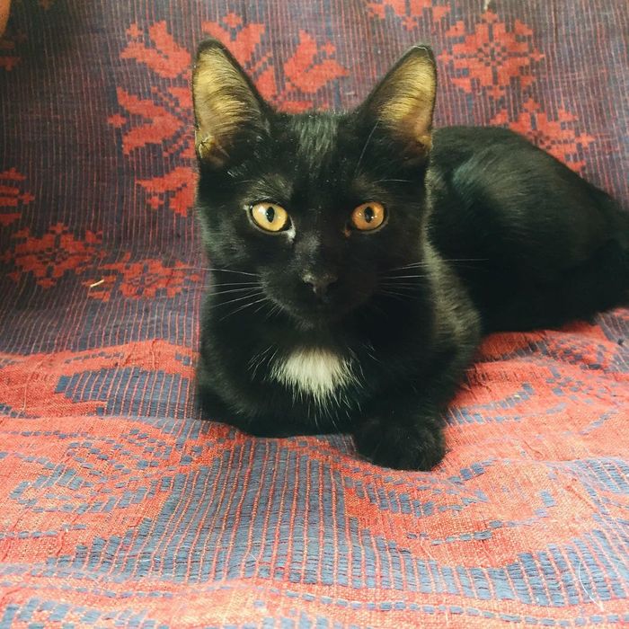 ΠΊΠ°ΠΊΠ°Ρ ΡΠ°Π·Π½ΠΈΡΠ° ΠΌΠ΅ΠΆΠ΄Ρ Π±ΠΎΡΠ΄ΡΡΠΎΠΌ ΠΈ ΠΏΠΎΡΠ΅Π±ΡΠΈΠΊΠΎΠΌ. Π‘ΠΌΠΎΡΡΠ΅ΡΡ ΡΠΎΡΠΎ ΠΊΠ°ΠΊΠ°Ρ ΡΠ°Π·Π½ΠΈΡΠ° ΠΌΠ΅ΠΆΠ΄Ρ Π±ΠΎΡΠ΄ΡΡΠΎΠΌ ΠΈ ΠΏΠΎΡΠ΅Π±ΡΠΈΠΊΠΎΠΌ. Π‘ΠΌΠΎΡΡΠ΅ΡΡ ΠΊΠ°ΡΡΠΈΠ½ΠΊΡ ΠΊΠ°ΠΊΠ°Ρ ΡΠ°Π·Π½ΠΈΡΠ° ΠΌΠ΅ΠΆΠ΄Ρ Π±ΠΎΡΠ΄ΡΡΠΎΠΌ ΠΈ ΠΏΠΎΡΠ΅Π±ΡΠΈΠΊΠΎΠΌ. ΠΠ°ΡΡΠΈΠ½ΠΊΠ° ΠΏΡΠΎ ΠΊΠ°ΠΊΠ°Ρ ΡΠ°Π·Π½ΠΈΡΠ° ΠΌΠ΅ΠΆΠ΄Ρ Π±ΠΎΡΠ΄ΡΡΠΎΠΌ ΠΈ ΠΏΠΎΡΠ΅Π±ΡΠΈΠΊΠΎΠΌ. Π€ΠΎΡΠΎ ΠΊΠ°ΠΊΠ°Ρ ΡΠ°Π·Π½ΠΈΡΠ° ΠΌΠ΅ΠΆΠ΄Ρ Π±ΠΎΡΠ΄ΡΡΠΎΠΌ ΠΈ ΠΏΠΎΡΠ΅Π±ΡΠΈΠΊΠΎΠΌ ΠΊΠ°ΠΊΠ°Ρ ΡΠ°Π·Π½ΠΈΡΠ° ΠΌΠ΅ΠΆΠ΄Ρ Π±ΠΎΡΠ΄ΡΡΠΎΠΌ ΠΈ ΠΏΠΎΡΠ΅Π±ΡΠΈΠΊΠΎΠΌ. Π‘ΠΌΠΎΡΡΠ΅ΡΡ ΡΠΎΡΠΎ ΠΊΠ°ΠΊΠ°Ρ ΡΠ°Π·Π½ΠΈΡΠ° ΠΌΠ΅ΠΆΠ΄Ρ Π±ΠΎΡΠ΄ΡΡΠΎΠΌ ΠΈ ΠΏΠΎΡΠ΅Π±ΡΠΈΠΊΠΎΠΌ. Π‘ΠΌΠΎΡΡΠ΅ΡΡ ΠΊΠ°ΡΡΠΈΠ½ΠΊΡ ΠΊΠ°ΠΊΠ°Ρ ΡΠ°Π·Π½ΠΈΡΠ° ΠΌΠ΅ΠΆΠ΄Ρ Π±ΠΎΡΠ΄ΡΡΠΎΠΌ ΠΈ ΠΏΠΎΡΠ΅Π±ΡΠΈΠΊΠΎΠΌ. ΠΠ°ΡΡΠΈΠ½ΠΊΠ° ΠΏΡΠΎ ΠΊΠ°ΠΊΠ°Ρ ΡΠ°Π·Π½ΠΈΡΠ° ΠΌΠ΅ΠΆΠ΄Ρ Π±ΠΎΡΠ΄ΡΡΠΎΠΌ ΠΈ ΠΏΠΎΡΠ΅Π±ΡΠΈΠΊΠΎΠΌ. Π€ΠΎΡΠΎ ΠΊΠ°ΠΊΠ°Ρ ΡΠ°Π·Π½ΠΈΡΠ° ΠΌΠ΅ΠΆΠ΄Ρ Π±ΠΎΡΠ΄ΡΡΠΎΠΌ ΠΈ ΠΏΠΎΡΠ΅Π±ΡΠΈΠΊΠΎΠΌ