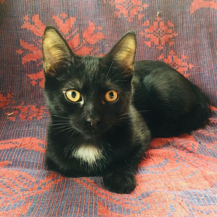 ΠΊΠ°ΠΊΠ°Ρ ΡΠ°Π·Π½ΠΈΡΠ° ΠΌΠ΅ΠΆΠ΄Ρ Π±ΠΎΡΠ΄ΡΡΠΎΠΌ ΠΈ ΠΏΠΎΡΠ΅Π±ΡΠΈΠΊΠΎΠΌ. Π‘ΠΌΠΎΡΡΠ΅ΡΡ ΡΠΎΡΠΎ ΠΊΠ°ΠΊΠ°Ρ ΡΠ°Π·Π½ΠΈΡΠ° ΠΌΠ΅ΠΆΠ΄Ρ Π±ΠΎΡΠ΄ΡΡΠΎΠΌ ΠΈ ΠΏΠΎΡΠ΅Π±ΡΠΈΠΊΠΎΠΌ. Π‘ΠΌΠΎΡΡΠ΅ΡΡ ΠΊΠ°ΡΡΠΈΠ½ΠΊΡ ΠΊΠ°ΠΊΠ°Ρ ΡΠ°Π·Π½ΠΈΡΠ° ΠΌΠ΅ΠΆΠ΄Ρ Π±ΠΎΡΠ΄ΡΡΠΎΠΌ ΠΈ ΠΏΠΎΡΠ΅Π±ΡΠΈΠΊΠΎΠΌ. ΠΠ°ΡΡΠΈΠ½ΠΊΠ° ΠΏΡΠΎ ΠΊΠ°ΠΊΠ°Ρ ΡΠ°Π·Π½ΠΈΡΠ° ΠΌΠ΅ΠΆΠ΄Ρ Π±ΠΎΡΠ΄ΡΡΠΎΠΌ ΠΈ ΠΏΠΎΡΠ΅Π±ΡΠΈΠΊΠΎΠΌ. Π€ΠΎΡΠΎ ΠΊΠ°ΠΊΠ°Ρ ΡΠ°Π·Π½ΠΈΡΠ° ΠΌΠ΅ΠΆΠ΄Ρ Π±ΠΎΡΠ΄ΡΡΠΎΠΌ ΠΈ ΠΏΠΎΡΠ΅Π±ΡΠΈΠΊΠΎΠΌ ΠΊΠ°ΠΊΠ°Ρ ΡΠ°Π·Π½ΠΈΡΠ° ΠΌΠ΅ΠΆΠ΄Ρ Π±ΠΎΡΠ΄ΡΡΠΎΠΌ ΠΈ ΠΏΠΎΡΠ΅Π±ΡΠΈΠΊΠΎΠΌ. Π‘ΠΌΠΎΡΡΠ΅ΡΡ ΡΠΎΡΠΎ ΠΊΠ°ΠΊΠ°Ρ ΡΠ°Π·Π½ΠΈΡΠ° ΠΌΠ΅ΠΆΠ΄Ρ Π±ΠΎΡΠ΄ΡΡΠΎΠΌ ΠΈ ΠΏΠΎΡΠ΅Π±ΡΠΈΠΊΠΎΠΌ. Π‘ΠΌΠΎΡΡΠ΅ΡΡ ΠΊΠ°ΡΡΠΈΠ½ΠΊΡ ΠΊΠ°ΠΊΠ°Ρ ΡΠ°Π·Π½ΠΈΡΠ° ΠΌΠ΅ΠΆΠ΄Ρ Π±ΠΎΡΠ΄ΡΡΠΎΠΌ ΠΈ ΠΏΠΎΡΠ΅Π±ΡΠΈΠΊΠΎΠΌ. ΠΠ°ΡΡΠΈΠ½ΠΊΠ° ΠΏΡΠΎ ΠΊΠ°ΠΊΠ°Ρ ΡΠ°Π·Π½ΠΈΡΠ° ΠΌΠ΅ΠΆΠ΄Ρ Π±ΠΎΡΠ΄ΡΡΠΎΠΌ ΠΈ ΠΏΠΎΡΠ΅Π±ΡΠΈΠΊΠΎΠΌ. Π€ΠΎΡΠΎ ΠΊΠ°ΠΊΠ°Ρ ΡΠ°Π·Π½ΠΈΡΠ° ΠΌΠ΅ΠΆΠ΄Ρ Π±ΠΎΡΠ΄ΡΡΠΎΠΌ ΠΈ ΠΏΠΎΡΠ΅Π±ΡΠΈΠΊΠΎΠΌ