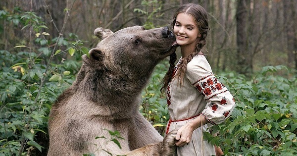 Прилетело... из-за бугра p/Russia - Кот, Юмор, Заграница, Медведи, Россия, Reddit