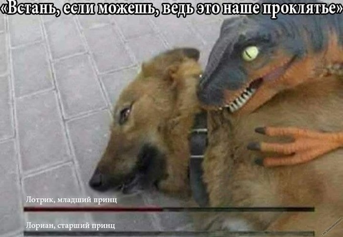 Ты остаёшься среди проклятых