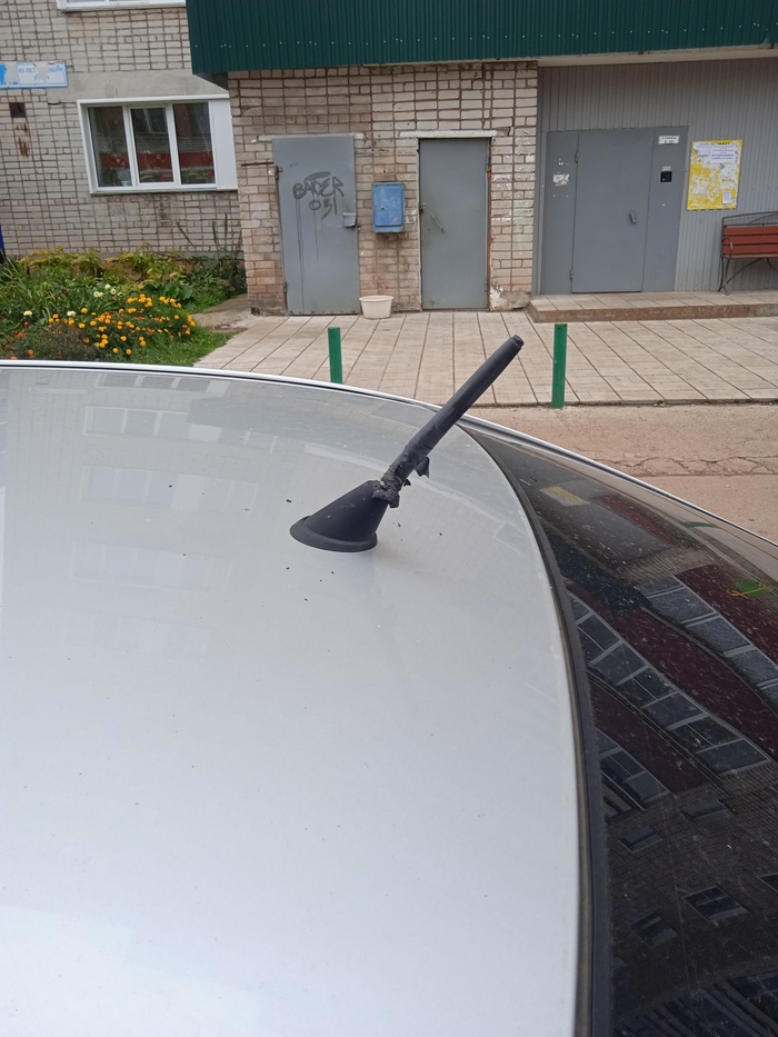 Ворона жрет антенну