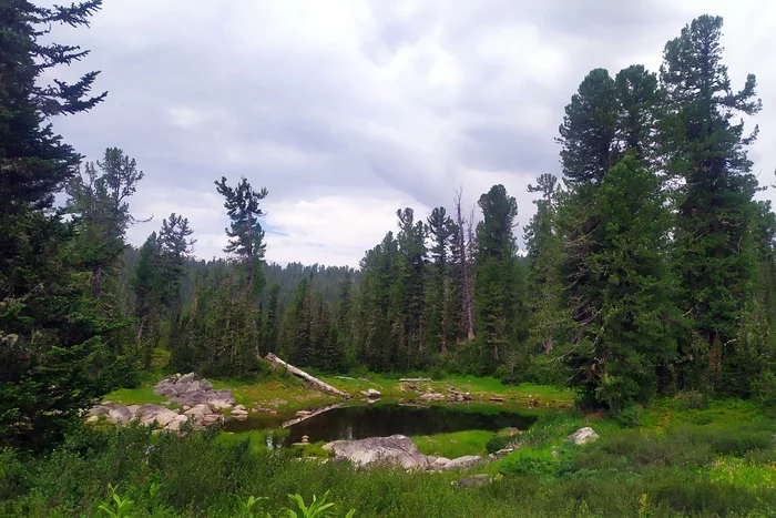 Ергаки. День шестой. ВОДОПАД - Моё, Ергаки, Красноярский край, Горы, Поход, Путешествие по России, Природа, Горный туризм, Сибирь, , Лес, Туризм, Дикая природа, Фотография, Длиннопост