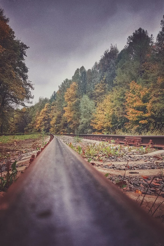 Rails, rails, sleepers, sleepers... - My, Rails, Sleepers, Railway, Autumn, The photo, Mobile photography, Snapseed, Longpost