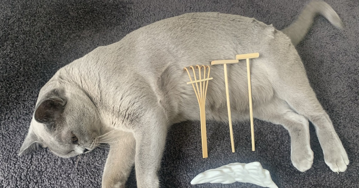 Кошачья спинка. Кошачья спинка. Картинка кошка кардиограмма. Кошка с выгнутой спинкой. Кошачья спинка.