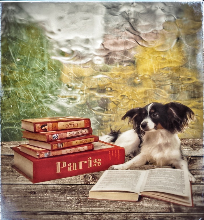 �������-�������. ��������, �� �� ���?