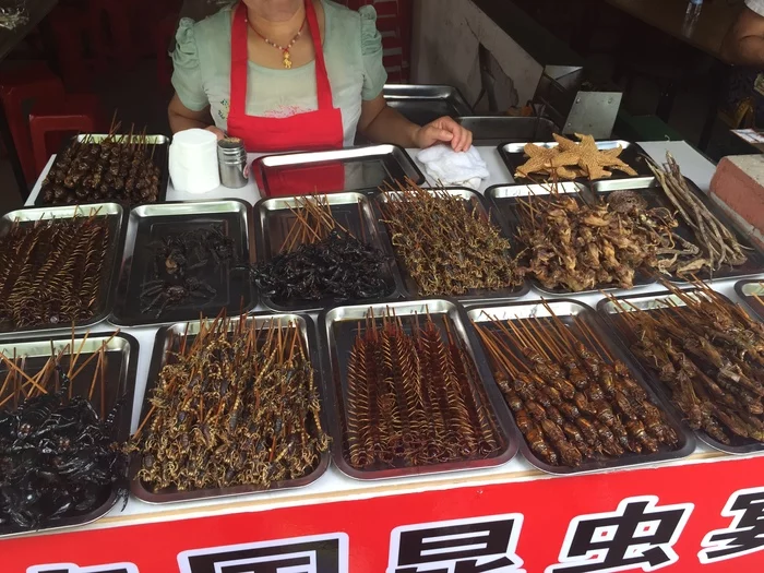 The meal is served, sit down to eat, please. - My, Food, Asia, Exotic, Travels, Vacation, China, Longpost, Spider, Insects