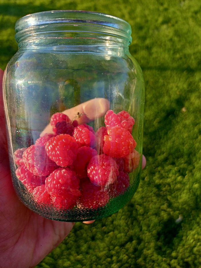 ������ ������ ������!