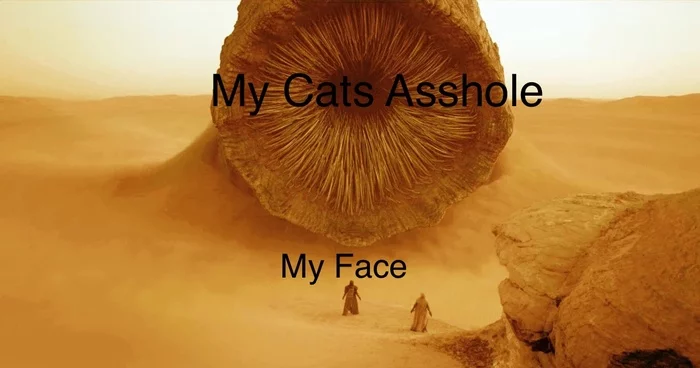 My cat's ass / my face - cat, Face, Dune, Anus, Shai Hulud