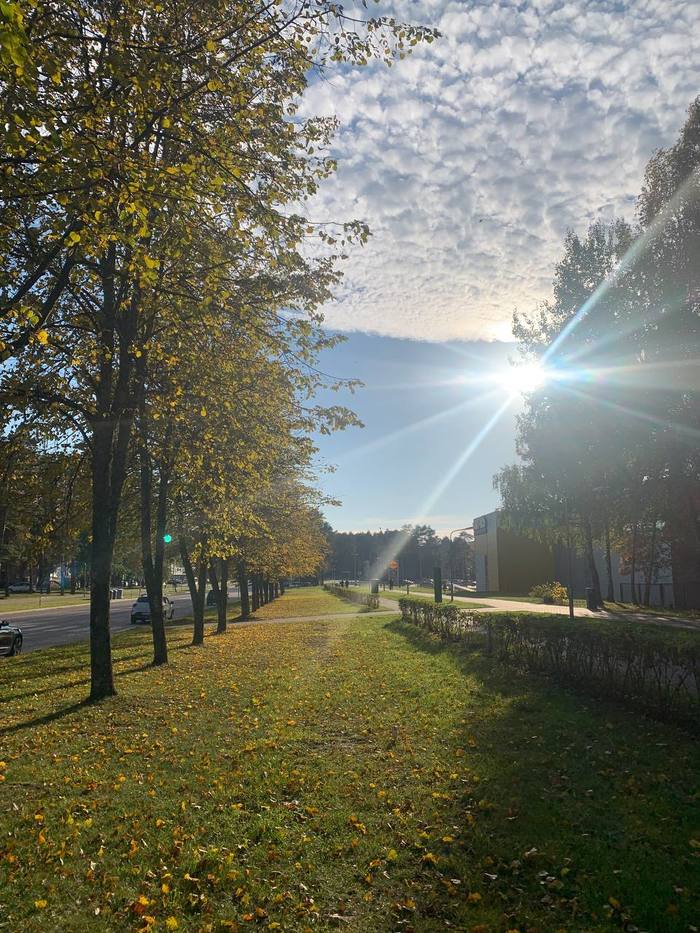 Ответ на пост «Осень в Финляндии» Осень, Мобильная фотография, Клево, Ответ на пост, Литва