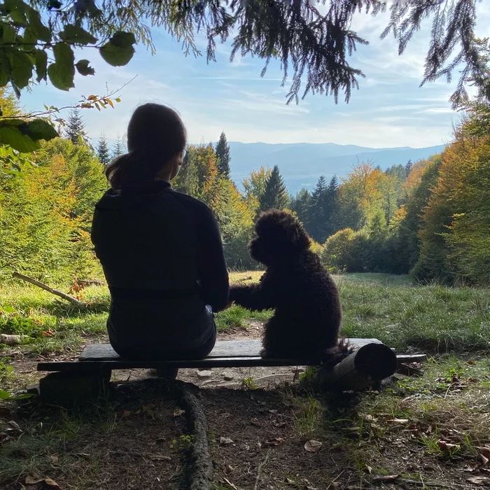 Support - My, The mountains, Poland, Dog, Poodle, Hike, The photo