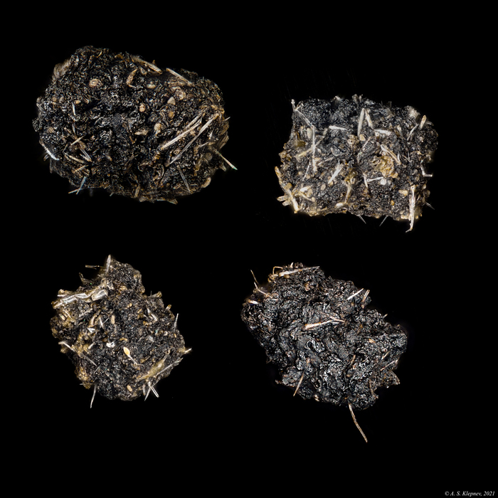 ����������� ��������