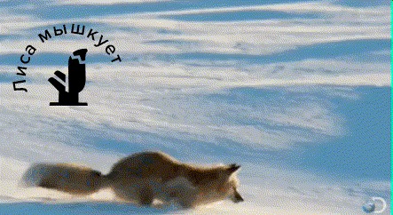      , , , 