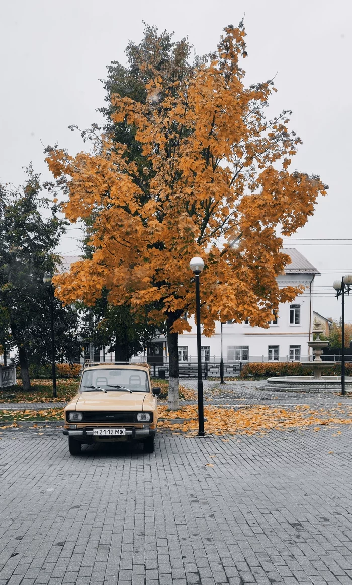 Autumn rarity - My, Moskvich, The photo, Autumn, Auto, Automotive classic, Car plate numbers, Mozhaisk