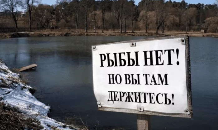 Какие водоемы мы оставим нашим детям, будет ли в них рыба - Моё, Рыбалка, Охота и рыбалка