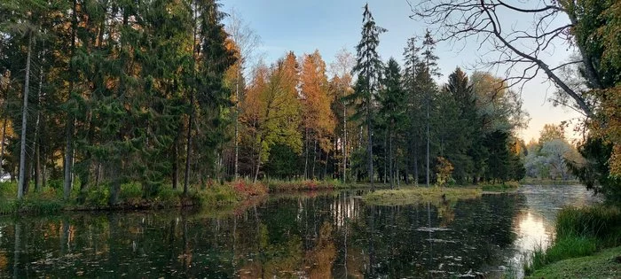 There on unknown paths... - My, Mobile photography, The park, Gatchina