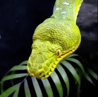    , , , , 