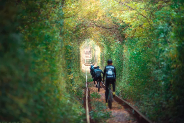 bike train) - My, The photo, Tunnel of Love, A bike, Railway, Nature, beauty, Autumn, Krivoy Rog