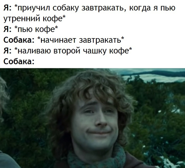 Coffee and Second Breakfast - Lord of the Rings, Peregrin Took, Breakfast, Coffee, Dog, Humor, Translated by myself, Picture with text