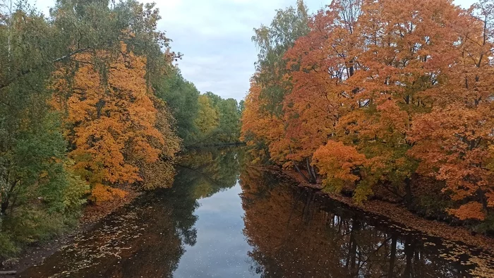 Autumn - My, Autumn, Landscape, beauty, Nature