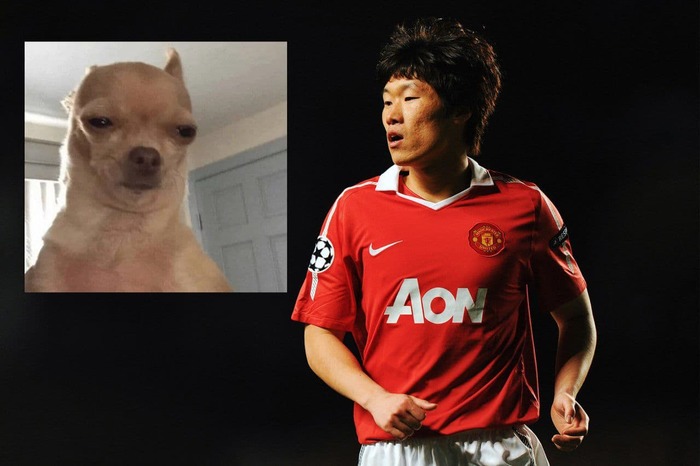 Бывший футболист Манчестер Юнайтед Пак Джи Сун попросил фанатов больше не петь про поедание собак корейцами