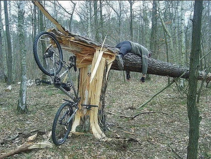    .      , , ,  ,  ,  ,   , 