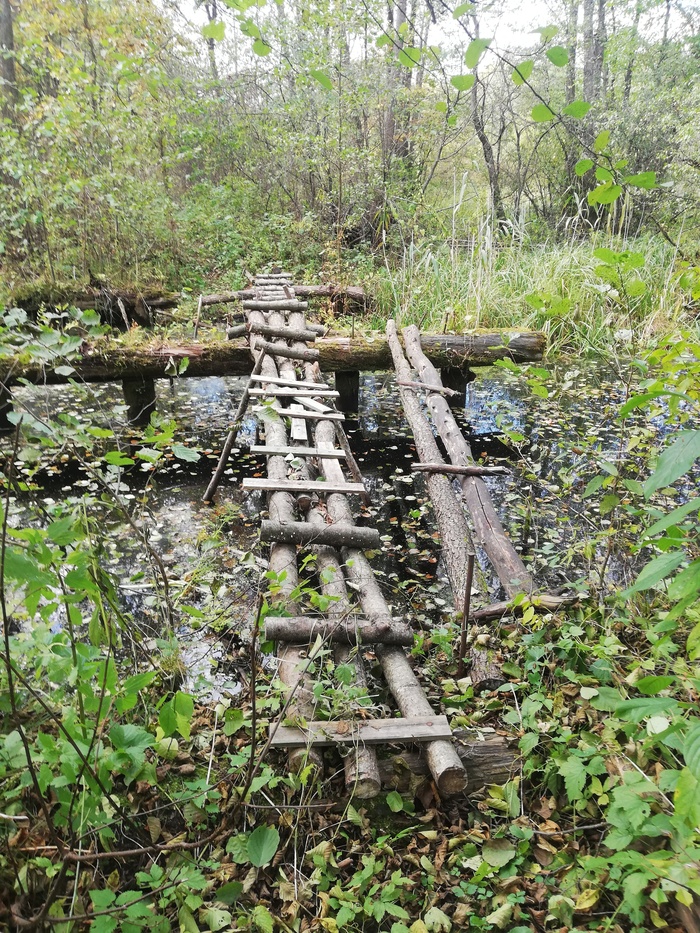   , , ,  , , , 