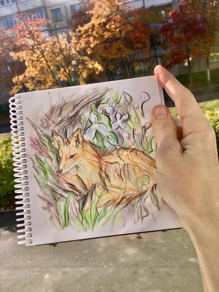 Asked to draw - My, Art, Sketch, Fox, Animals, Colour pencils, Paper, Nature, Longpost