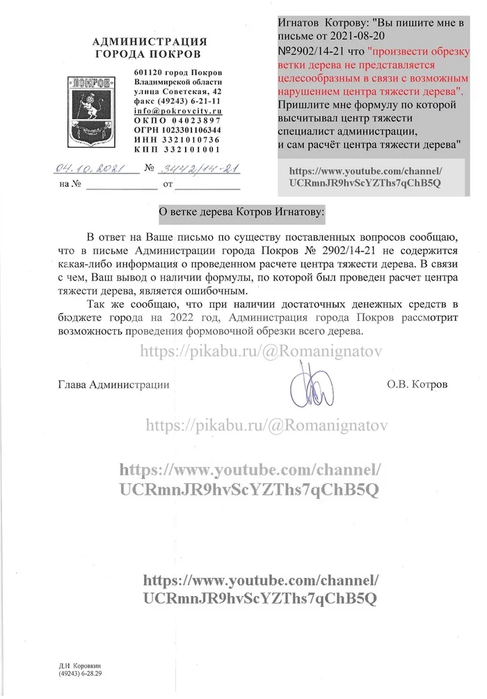 Продолжение поста «Сидят на ветке, а ветка - над тротуаром» - Покров, Птицы, Голубь, Тротуар, Дерево, Ветка, Помет, Ответ на пост