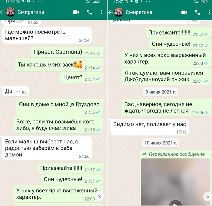 такая собака умеет находить потерянные вещи 6. Смотреть фото такая собака умеет находить потерянные вещи 6. Смотреть картинку такая собака умеет находить потерянные вещи 6. Картинка про такая собака умеет находить потерянные вещи 6. Фото такая собака умеет находить потерянные вещи 6