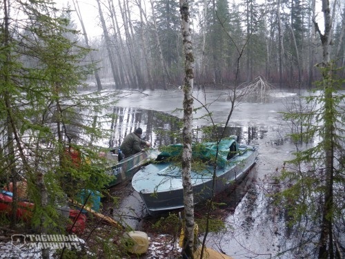 Taiga route. Ulu-Yul hike. Part Four - My, Taiga, Siberia, Western Siberia, Travels, Longpost, Mat