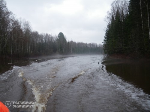 Taiga route. Ulu-Yul hike. Part Four - My, Taiga, Siberia, Western Siberia, Travels, Longpost, Mat