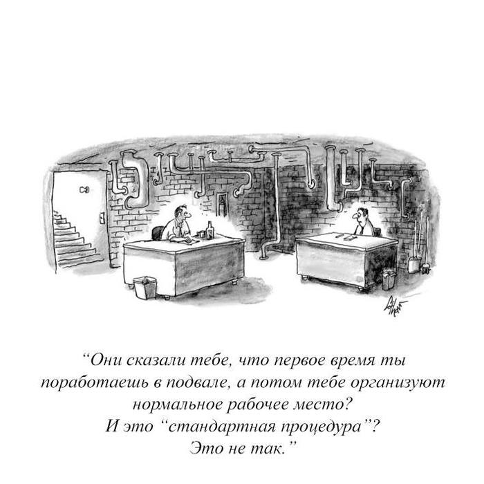   ,  , ,  , , The New Yorker