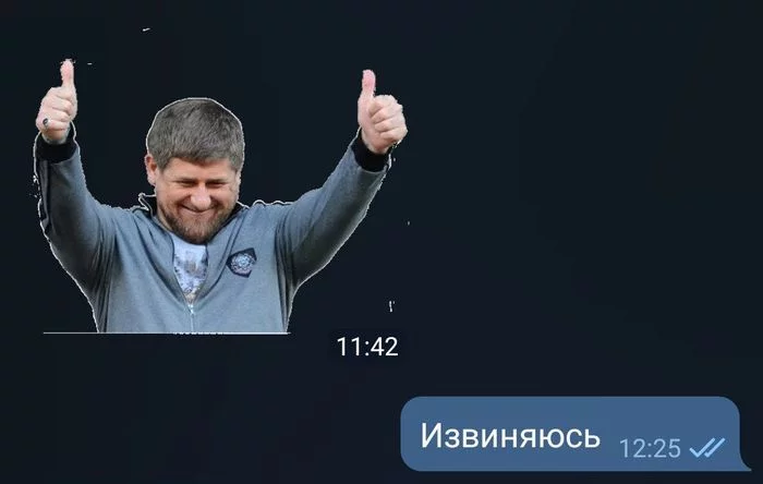 I hope you don't have to apologize for this. - Ramzan Kadyrov, Apology