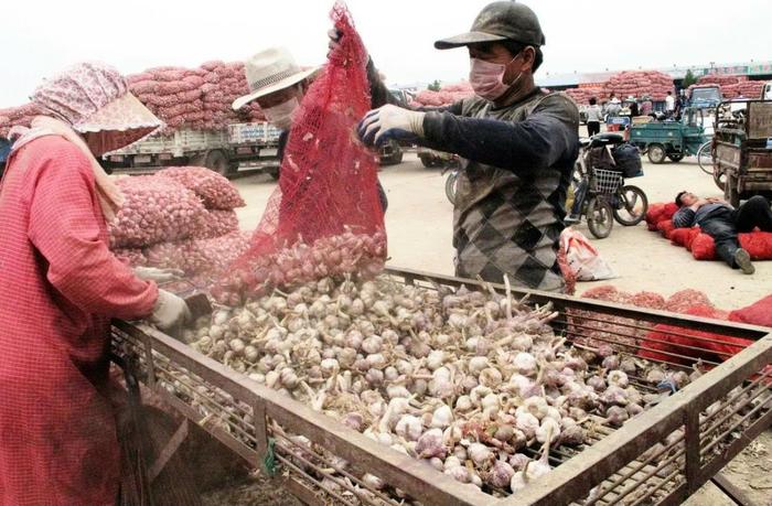 BUSINESS WARS #26 How China Captured the Global Garlic Market - My, China, Garlic, Market, Competition, Business, Monopoly