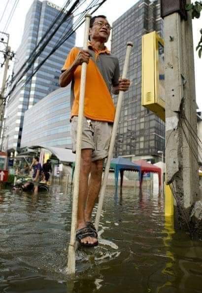 How Resilient Thais Cope With Rainy Season Floods - Thailand, Rain season, Потоп, Flood, Element, Adaptation, Humor, Survival, , Auto, Moped, Children, Dog, A selection, Longpost