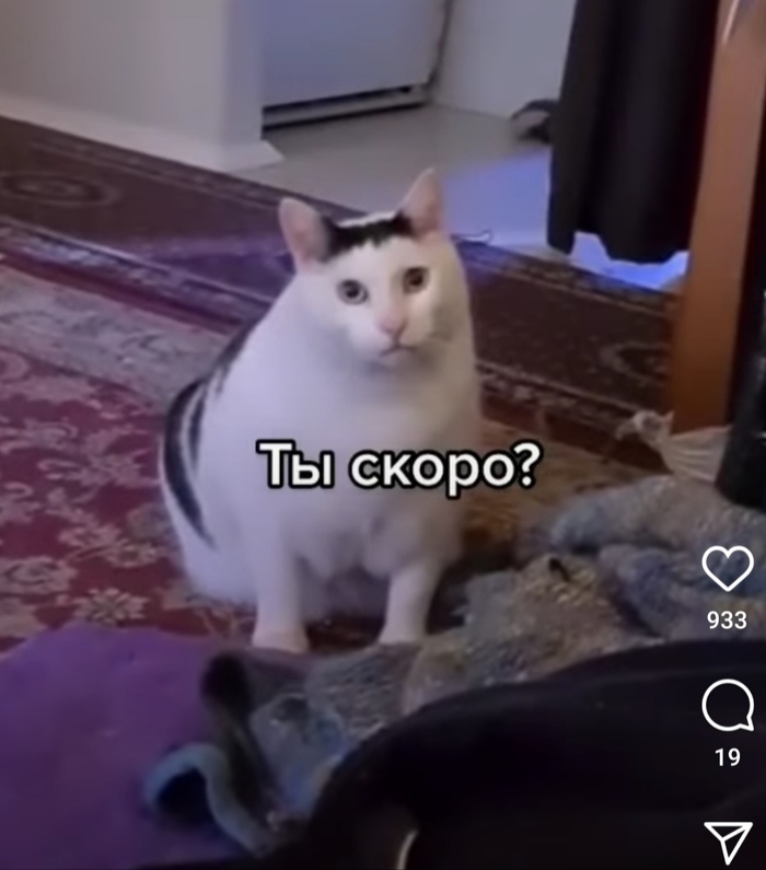         ,  ,  