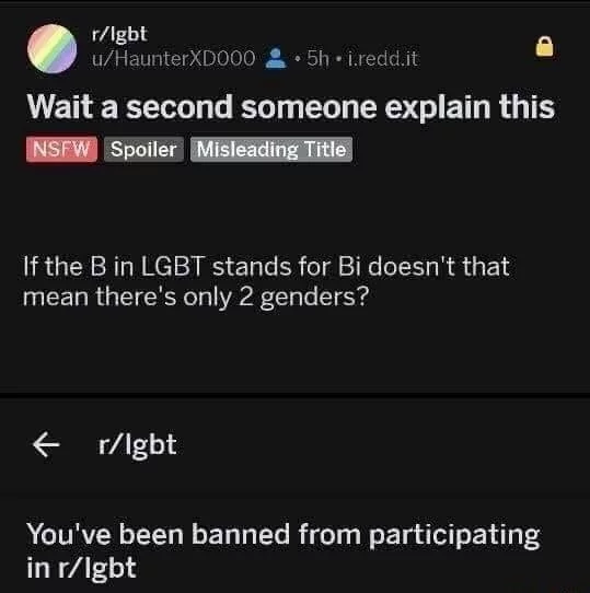 Как легко получить бан на Реддите Reddit, ЛГБТ, SJW, Юмор, Политкорректность