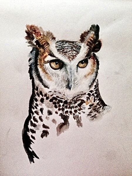 Owl. Watercolor, A4 size - My, Owl, Painting, Watercolor, Art