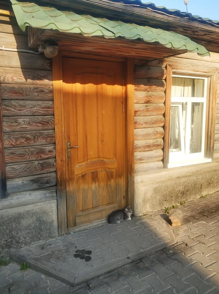 Seals of Yasnaya Polyana - My, cat, Cat family, Yasnaya Polyana, Longpost