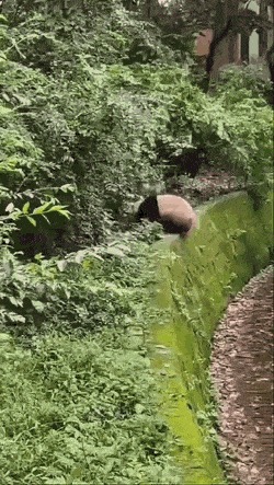   , , , 